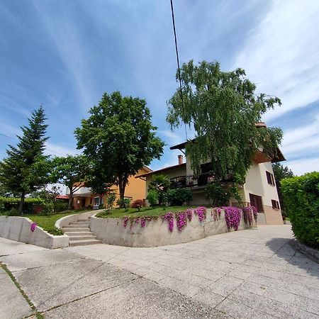 Apartma Breza Kojsko Exterior foto